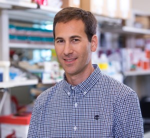 Scott M. Welford, Ph.D., Named Sylvester’s Tumor Biology Research Program Co-leader