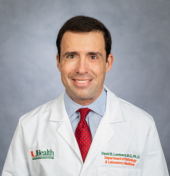 Dr. David B. Lombard Named Co-Leader of Sylvester’s Cancer Epigenetics Program