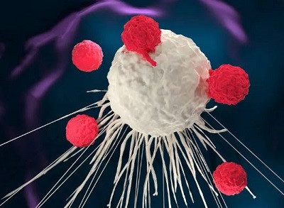 Mayo Clinic Comprehensive Cancer Center highlights research advances in 2023