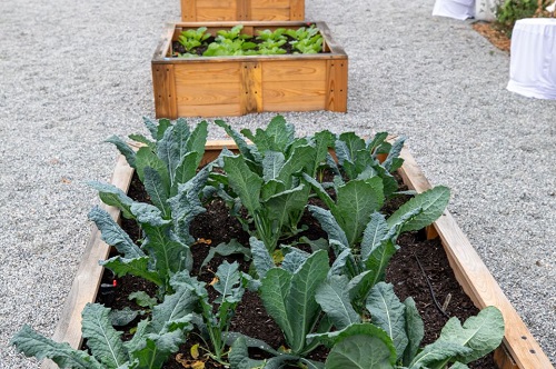 Aetna Better Health of Florida Donates $65,000 to Support New Community Garden and Food Pharmacy in East Tampa