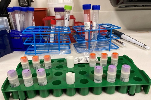 Tampa General Hospital Cancer Institute Opens Dedicated Phase I Clinical Trials Unit to Foster Cancer Clinical Research Innovation