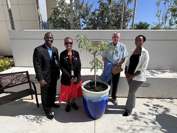 30th Anniversary Trauma Reflection Dedication