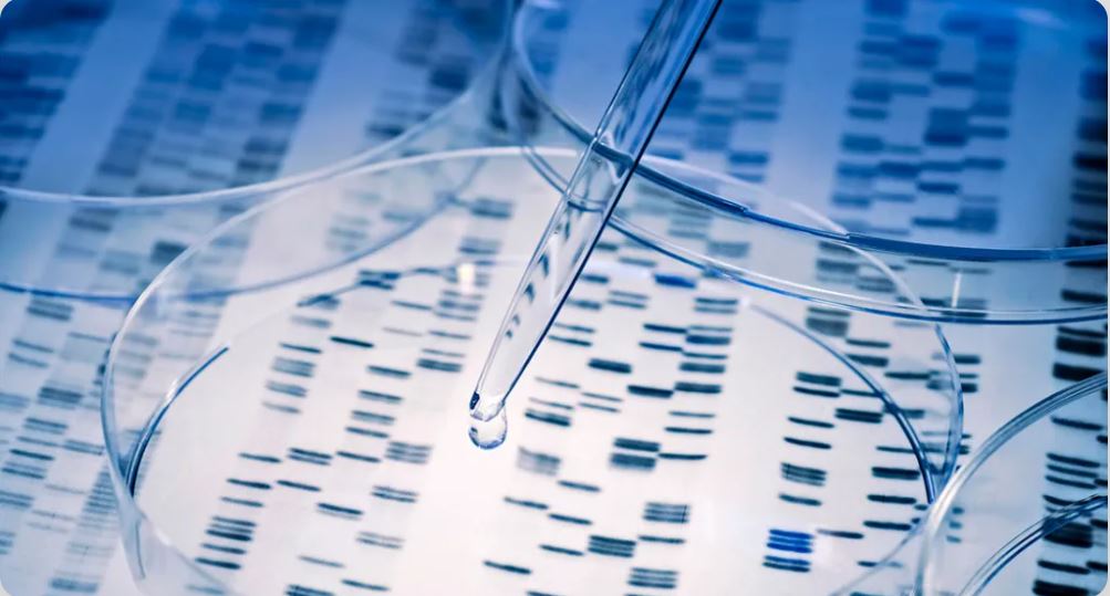 Precision Medicine Conference to Showcase Cancer Research