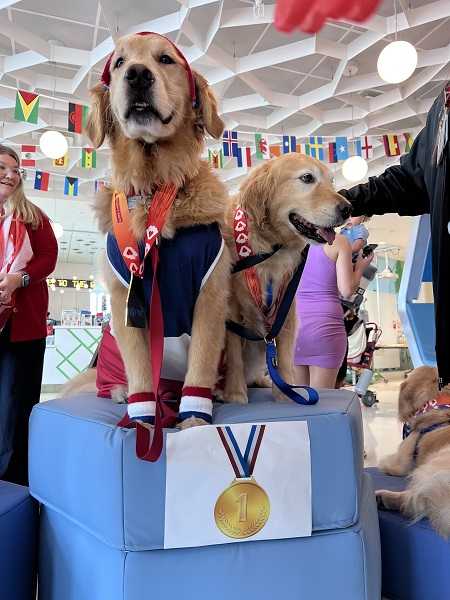 Joe DiMaggio Children’s Hospital Holds Pup-tacular Facility Dog Olympics
