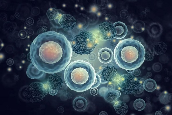 Late-breaking abstract at SUO: Novel oncolytic immunotherapy shows promise for patients with bladder cancer
