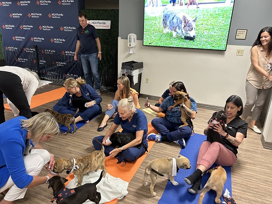 HCA Florida JFK North Hospital Celebrates Mental Health Awareness Month with Puppy Therapy for Staff