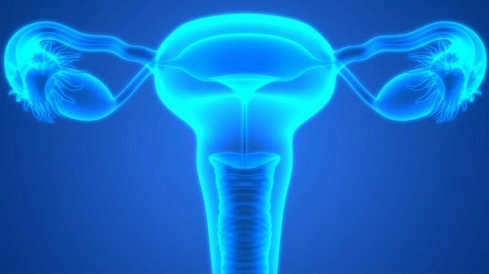 Mayo Clinic researchers capture first signs of ovarian cancer risk
