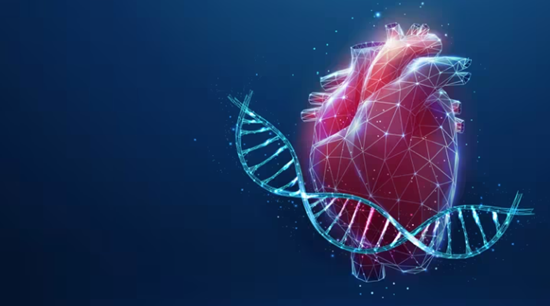 Study Identifies Gene Variant That Increases Heart Failure Risk in People of African Ancestry