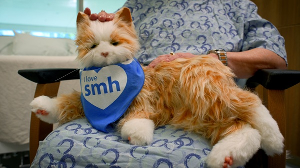 Innovative Trial Using Robotic Pets Enhances Dementia Care, Patient Outcomes at SMH
